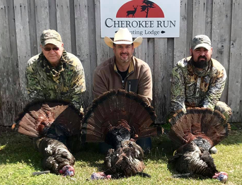 CR-Turkey-Hunt